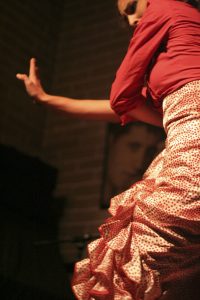 Flamenco Dancer - elegant hands during performance.