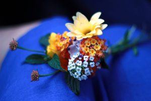 Lantana flowers on a vivid blue dress