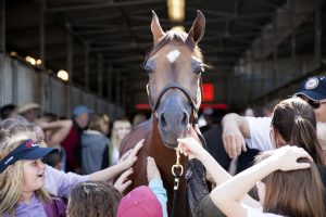 Horse Show Fans gather around Arabian Horse to pet it